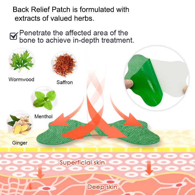 60/6 PCS Lumbar Pain Patch Wor - Herbal Zone recension och pris