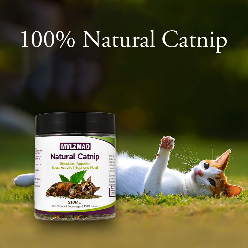 Cat Toys - Silvervine Catnip f - Herbal Wellness Products recension och pris